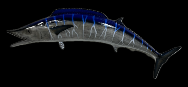 Wahoo Trophy Fish Mount Replica