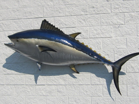 Bluefin Tuna