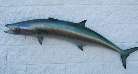 King Mackerel