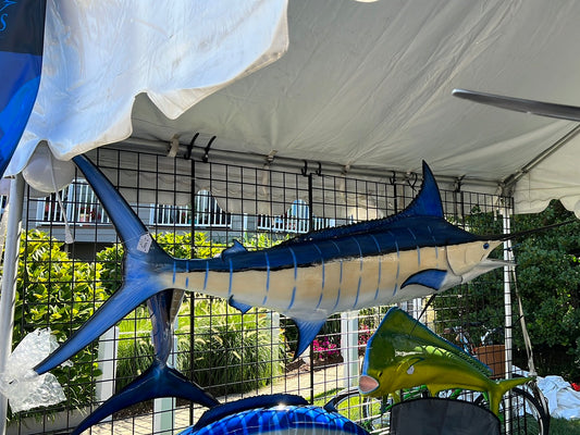 Blue Marlin